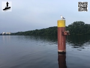 „Mitten durch die Stadt und doch im Grünen“ - Paddeln in Potsdam