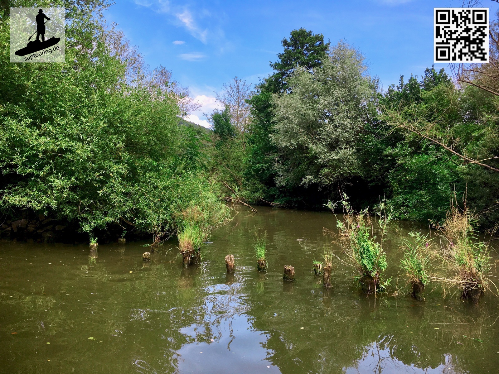 Vogelschutzgebiet auf dem Neckar