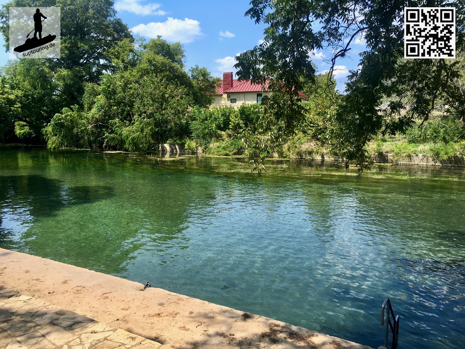 Baden im kristallklaren San Marcos River