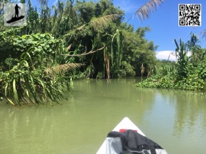 Die Ganja-Alternative oder Paddeln in Falmouth, Jamaica